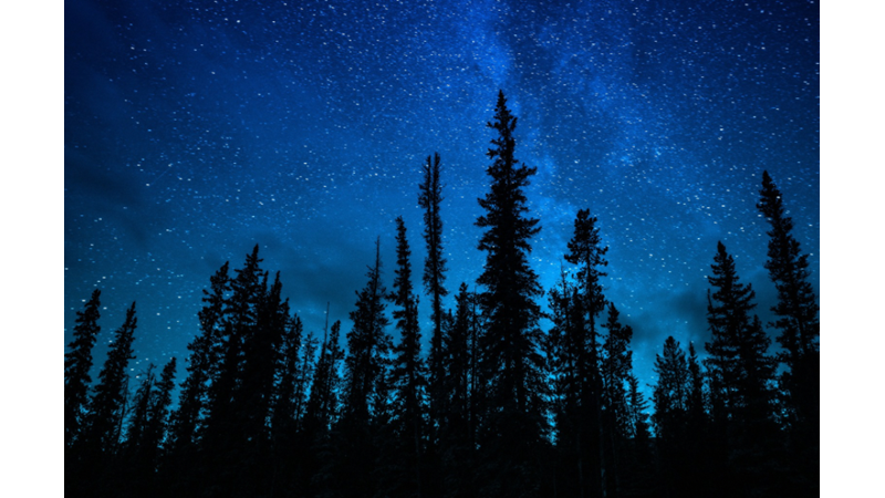 BİR AY İÇİNDE İHTİYACINIZ OLAN BEŞ GÜN: YETİŞKİN İŞLERİ GÜNÜNDEN HİÇBİR ŞEY YAPMADIĞINIZ BOŞ GÜNE KADAR