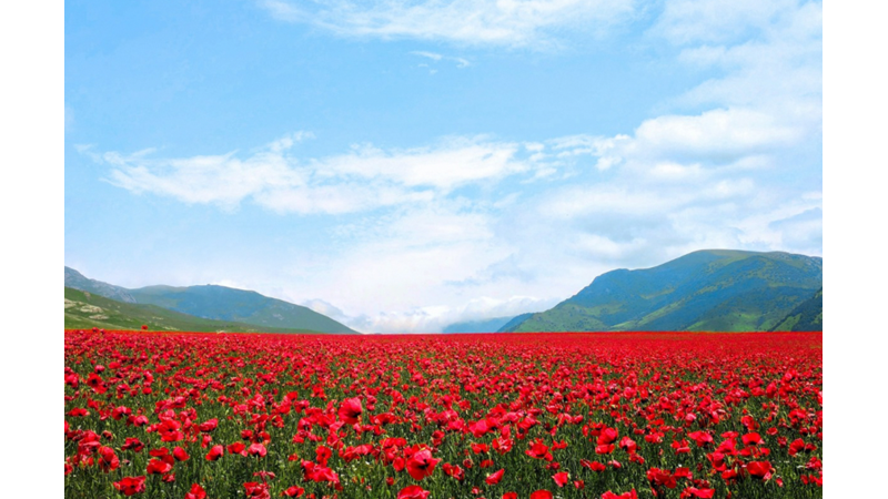 KÜÇÜKKEN OYNADIĞIMIZ O OYUN: GÜZELLİK Mİ ÇİRKİNLİK Mİ HAVUZ BAŞINDA MANKENLİK Mİ? HANGİSİ?
