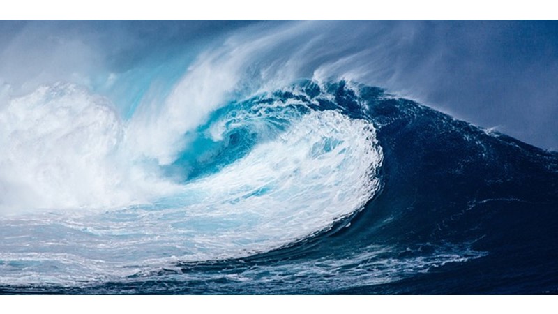 Serpeni: Deniz yılanı