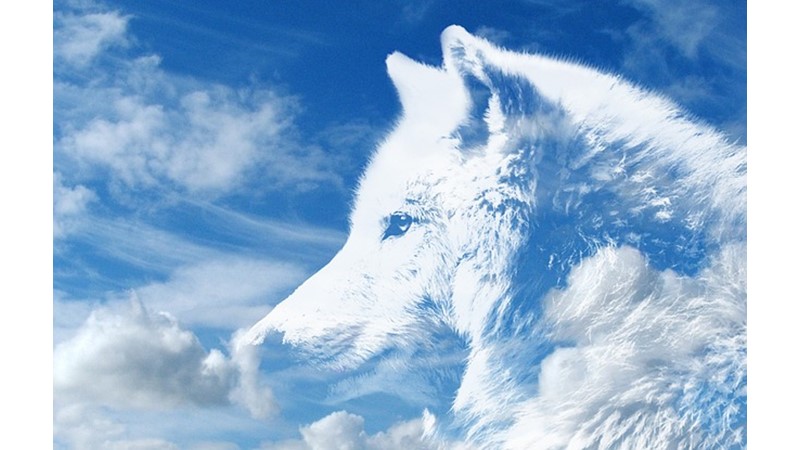 Türk Mitolojisi ve Zaman