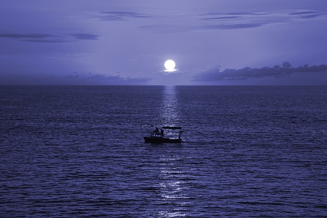 Baharat Yolunda Macellan