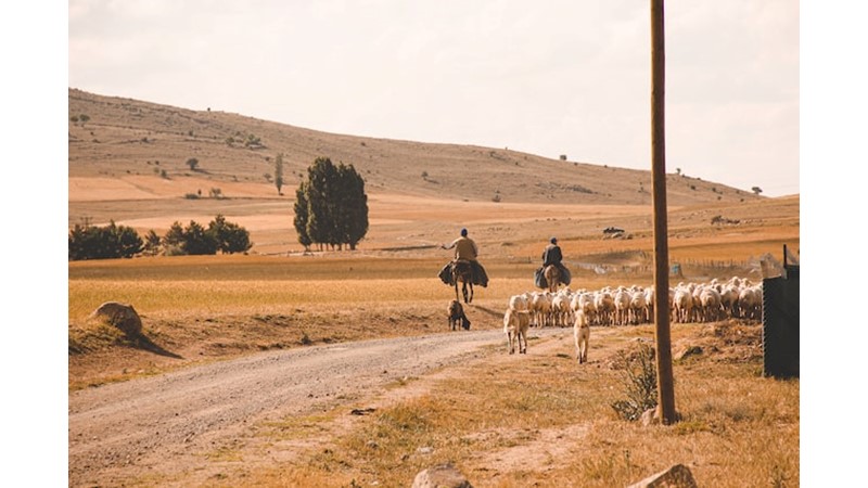 İlimizin adı nereden geliyor? YOZGAT